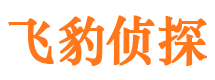 云安市调查公司